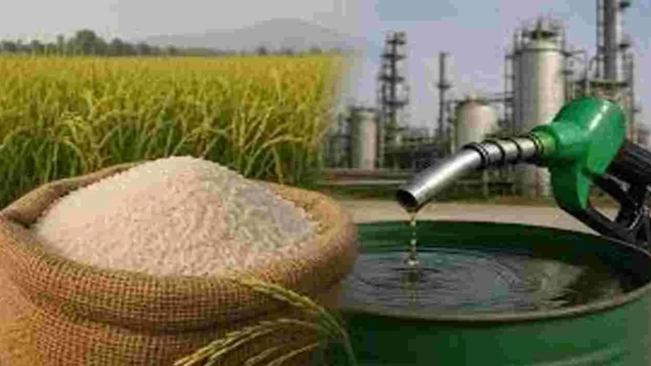 Broken Rice: నూకలతో ఇథనాల్ తయారీ.. ధరలపై భారం?
