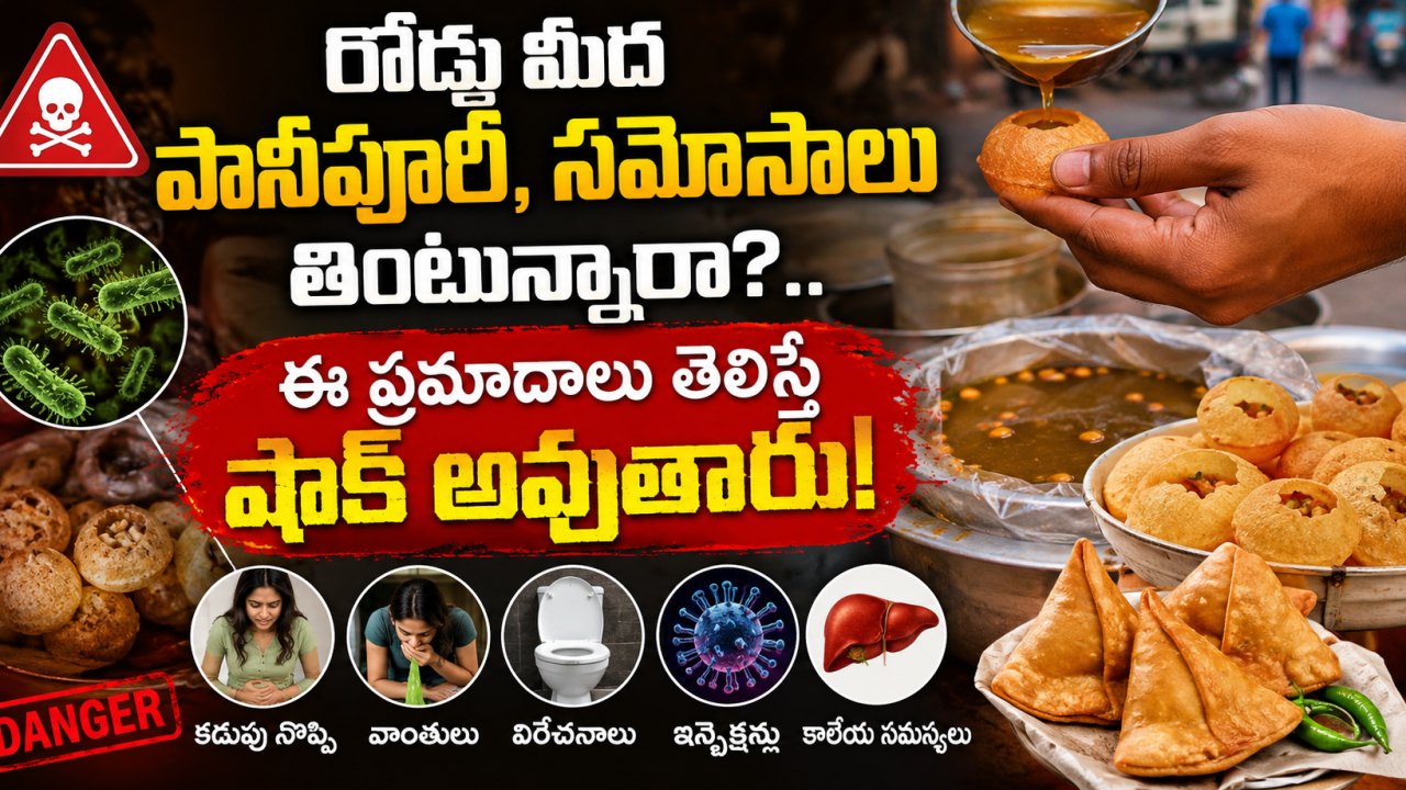 Health : రోడ్డు మీద పానీపూరీ, సమోసాలు తింటున్నారా?.. ఈ ప్రమాదాలు తెలిస్తే షాక్ అవుతారు!