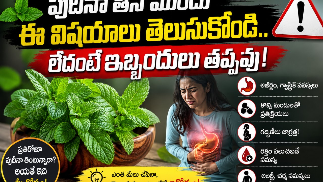 Health: పుదీనా తినే ముందు ఈ విషయాలు తెలుసుకోండి.. లేదంటే ఇబ్బందులు తప్పవు!