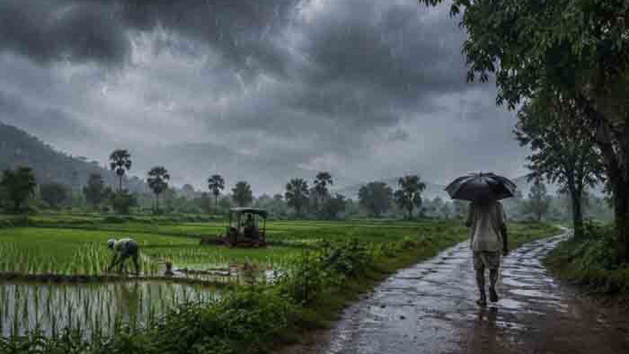 Rain Alert: అల్పపీడనంతో వానలు.. చల్లబడిన తెలంగాణ!