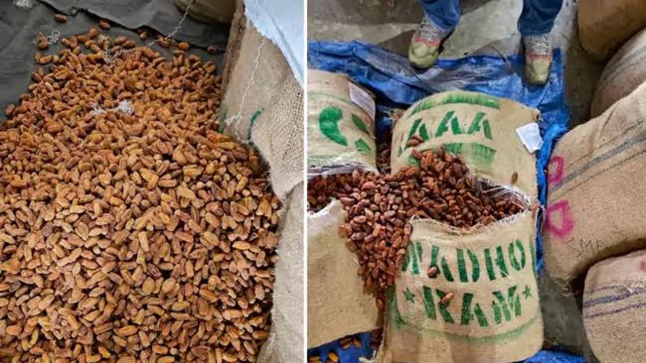 Dry Dates: నిషేధం ఉన్నా పాక్ సరుకు భారత్లోకి.. గుట్టు రట్టు చేసిన డీఆర్ఐ!..