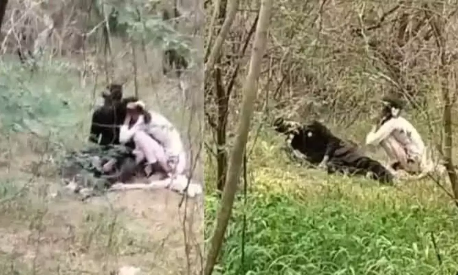 viral : ఏకాంతానికి అడ్డుతగిలిన విద్యుత్ తీగలు.. అడవిలో యువజంట కేకలు
