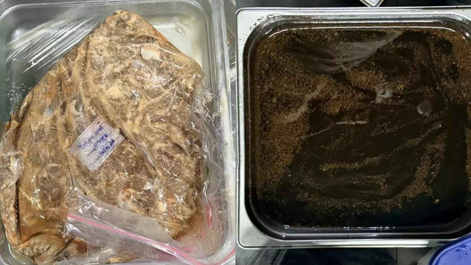 Rotten Meat: కుళ్లిన గుడ్లు, మురిగిన మాంసం, ఇంజనాయిల్ లాంటి ఆయిల్.. హోటల్స్, రెస్టారెంట్లలో దారుణాలు