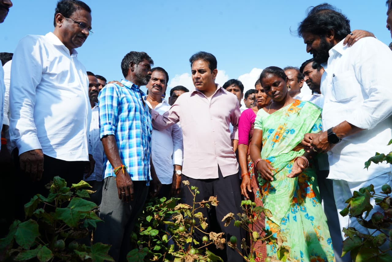 KTR: పాలమూరు బిడ్డ కాదు.. రైతుల పాలిట శత్రువు.. సీఎం రేవంత్‌పై కేటీఆర్ ఫైర్!