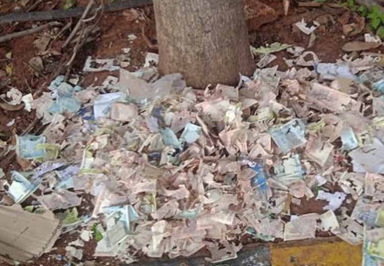 పార్కు వద్ద చిరిగిన నోట్ల కలకలం.. ఆ డబ్బు ఎవరిది.. ఎందుకు పడేశారు?
