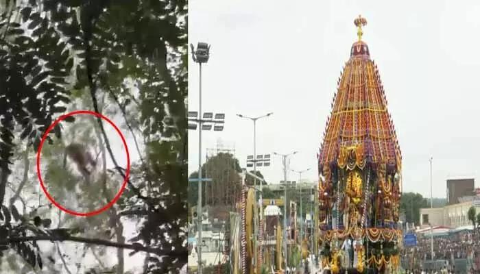 Thirumala: తిరుమలలో మళ్లీ చిరుత.. భక్తులకు టీటీడీ హెచ్చరిక!..