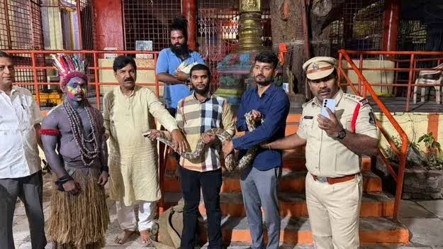 గణేశ్ నిమజ్జనంలో కొండచిలువతో డ్యాన్స్.. రంగంలోకి పోలీసులు!