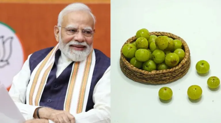'మన్ కీ బాత్'లో ఉసిరిపై ప్రధాని మోదీ ప్రశంసలు