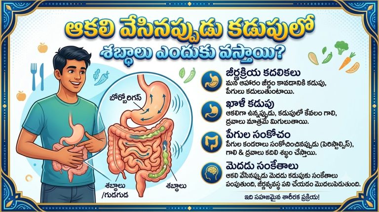Health: ఆకలి వేసినప్పుడు కడుపులో శబ్ధాలు ఎందుకు వస్తాయి?..