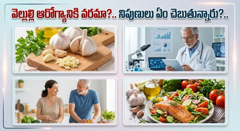 Health: వెల్లుల్లి ఆరోగ్యానికి వరమా?.. నిపుణులు ఏం చెబుతున్నారు?..