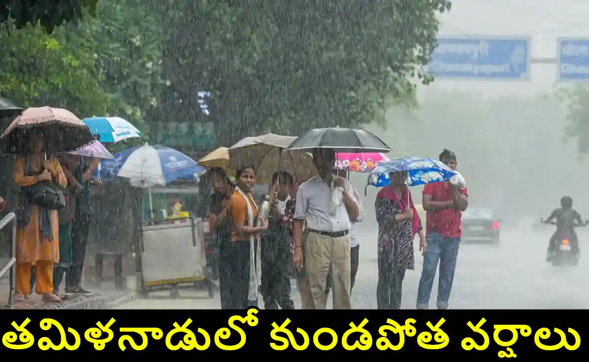 National : తమిళనాడులో కుండపోత.. పలు జిల్లాలకు రెడ్ అలర్ట్