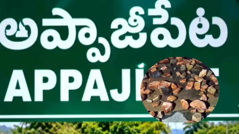 Stone Attack: రాత్రి అయితే చాలు ఇళ్లపై రాళ్ల దాడులు.. అప్పాజీపేటలో భయంభయం