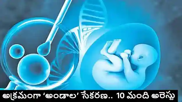Hyderabad : గర్ల్స్ హాస్టల్ ముసుగులో  అండాల సేకరణ..
