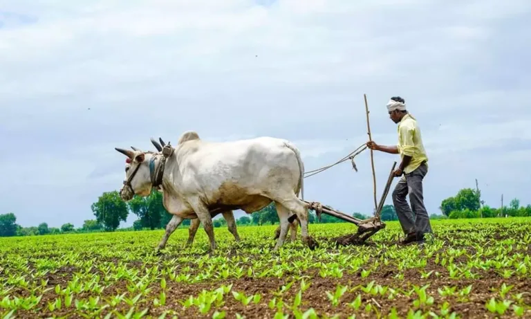 Siddipet: మానవత్వం మరచిన గజ్వేల్ ఎమ్మార్వో.. నువ్వు ఇంకా బ్రతికే ఉన్నావా?.. పురుగుల మందు తాగలేదా?..