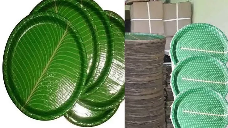 Plastic Plates Risks: ప్లాస్టిక్ ప్లేట్‌లో తిండి.. విషాన్ని ఆహ్వానిస్తున్నట్లేనా?