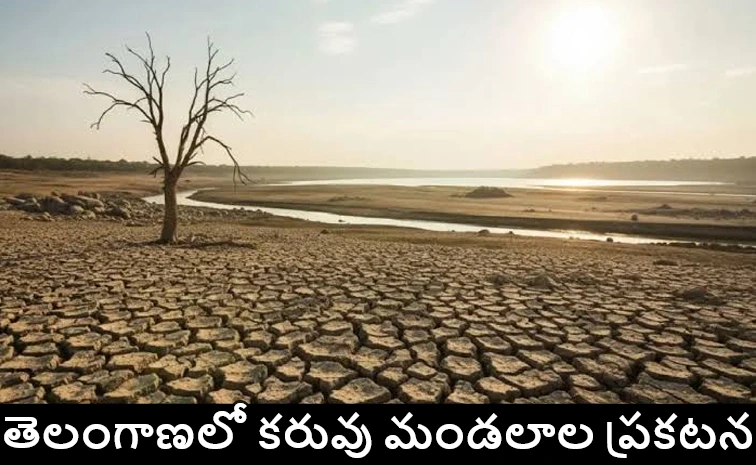 TG : తెలంగాణలో 365  కరువు మండలాలు.. సర్కార్ కీలక నిర్ణయం!