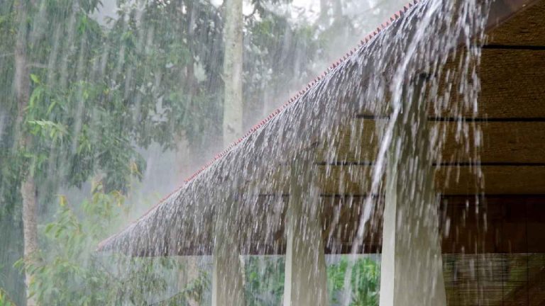 Rains: తెలంగాణకు భారీ వర్ష సూచన.. ఈ జిల్లాల్లో కుండపోత వానలు