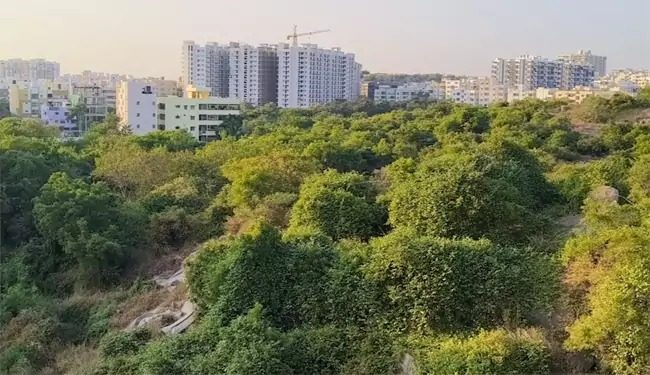 TG: మియాపూర్ భూములను కాపాడింది జర్నలిస్టులే.. మీడియాది అలుపెరగని పోరాటం..!
