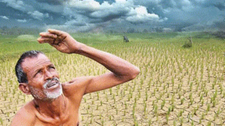 Telangana: ఎండిపోతున్న పొలాలు-అడుగంటుతున్న ఆశలు!..