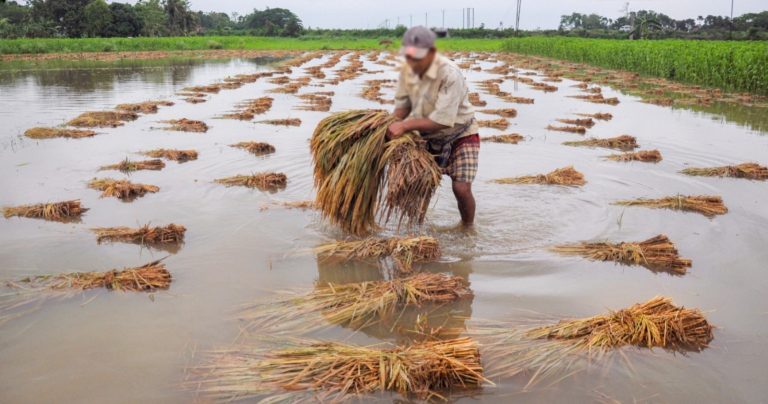 AP Farmers: ఏపీపై విరుచుకుపడ్డ 'అర్నబ్'.. రైతన్నకు మరింత కష్టకాలం