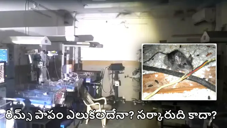 TG : ఆదిలాబాద్ ‘రిమ్స్’ పాపం ఎలుకలదా? సర్కారుదా?