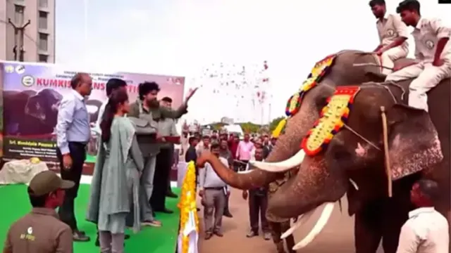 కుంకీ ఏనుగులకు పవన్ కల్యాణ్ గ్రాండ్ వెల్కమ్.. క్యాంప్ ఆఫీస్ వద్ద ప్రత్యేక పూజలు!