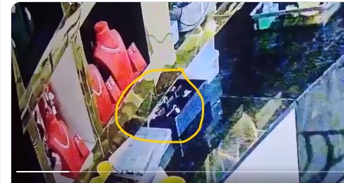 viral: రూ.10 లక్షల విలువైన బంగారం దొంగిలించిన ఎలుక.. వీడియో వైరల్
