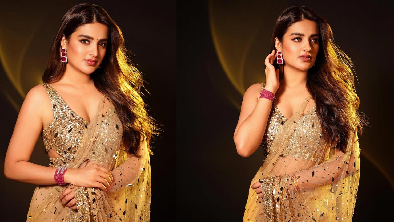 Nidhhi Agerwal: పెళ్లికి ఎలాంటి కుర్రాడు కావాలంటే!