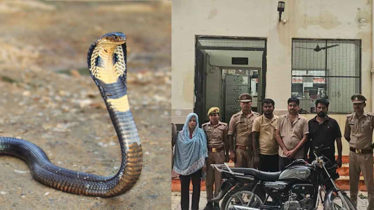 ఇన్సూరెన్స్ డబ్బు కోసం దారుణం.. పాముతో కాటు వేయించి భర్తను చంపిన భార్య