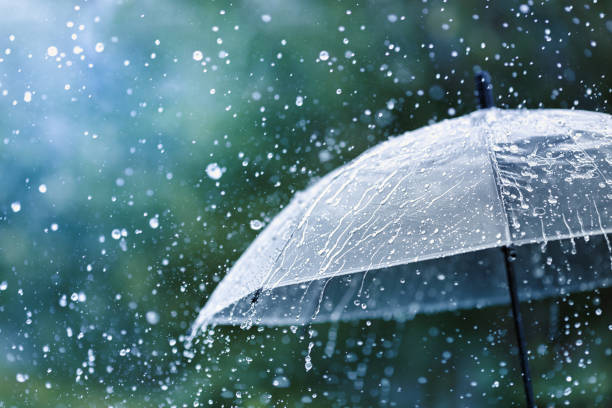 Rains : రాష్ట్రాన్ని కమ్మేసిన ముసురు.. నేడు భారీ వర్షాలు!