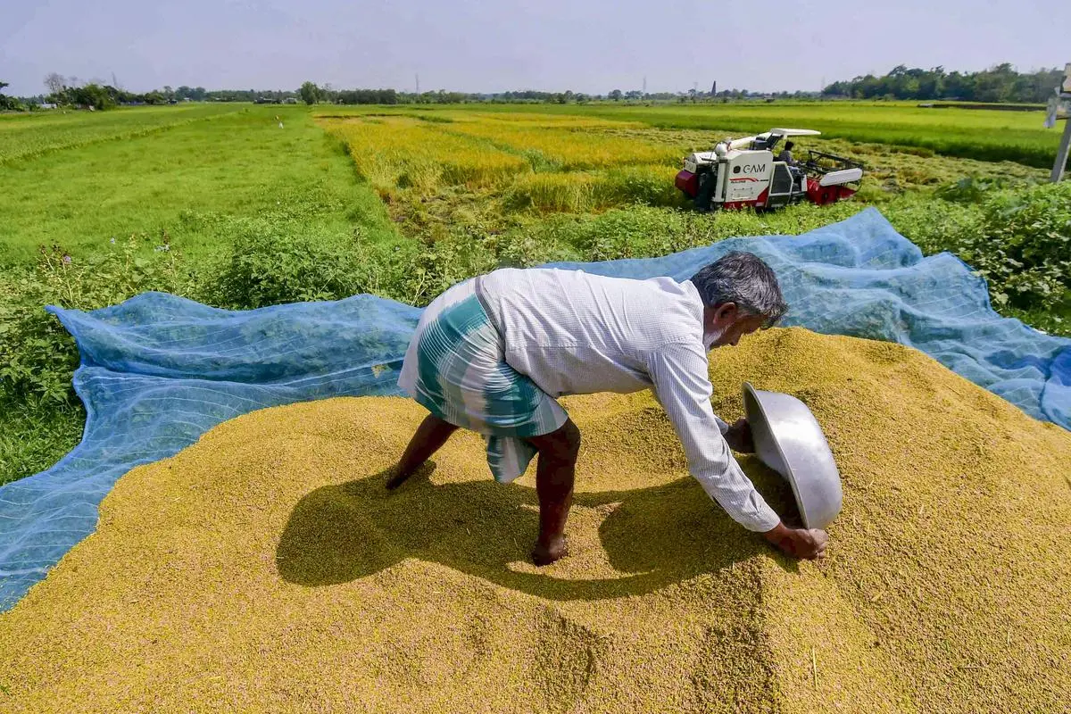 Telangana: ధాన్యం సేకరణ విషయంలో కీలక నిర్ణయం తీసుకున్న కేంద్రం!..