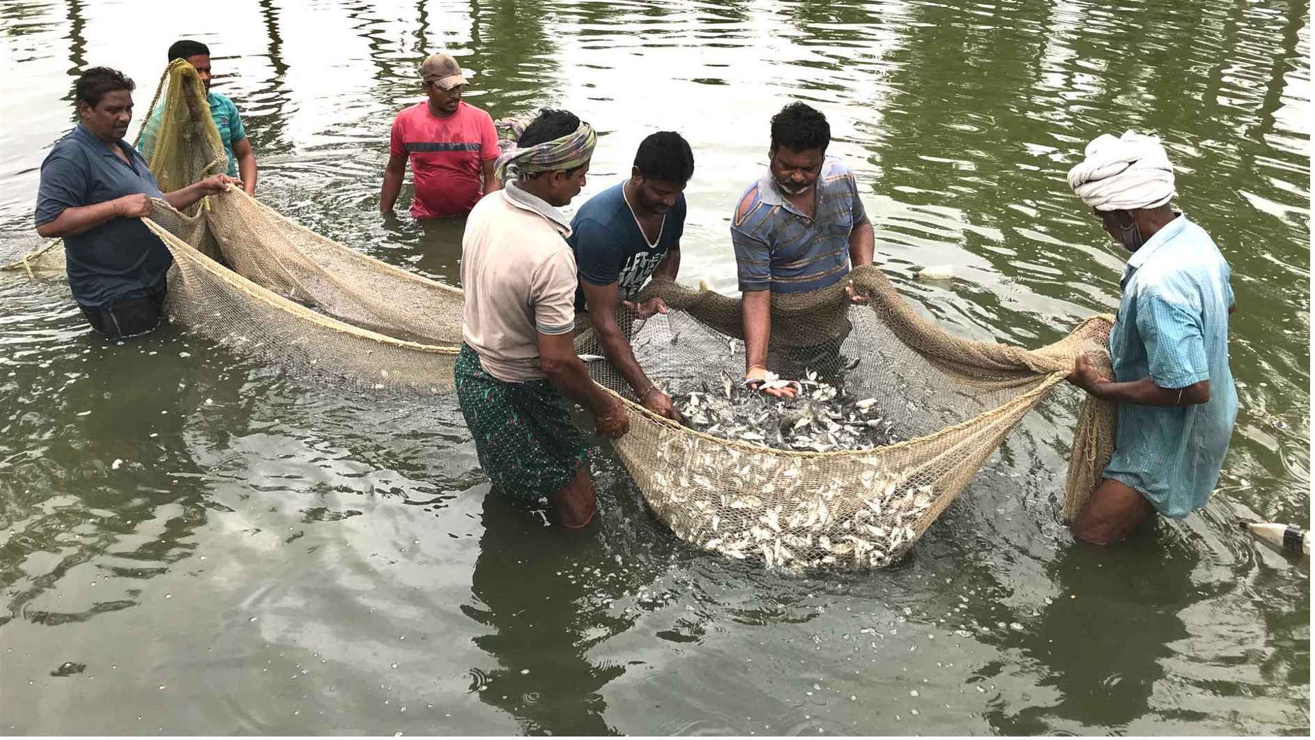 Fishermen Insurance: రూ.5లక్షలు.. మత్స్యకారులకు ప్రభుత్వం శుభవార్త.. ప్రమాద బీమా పథకం