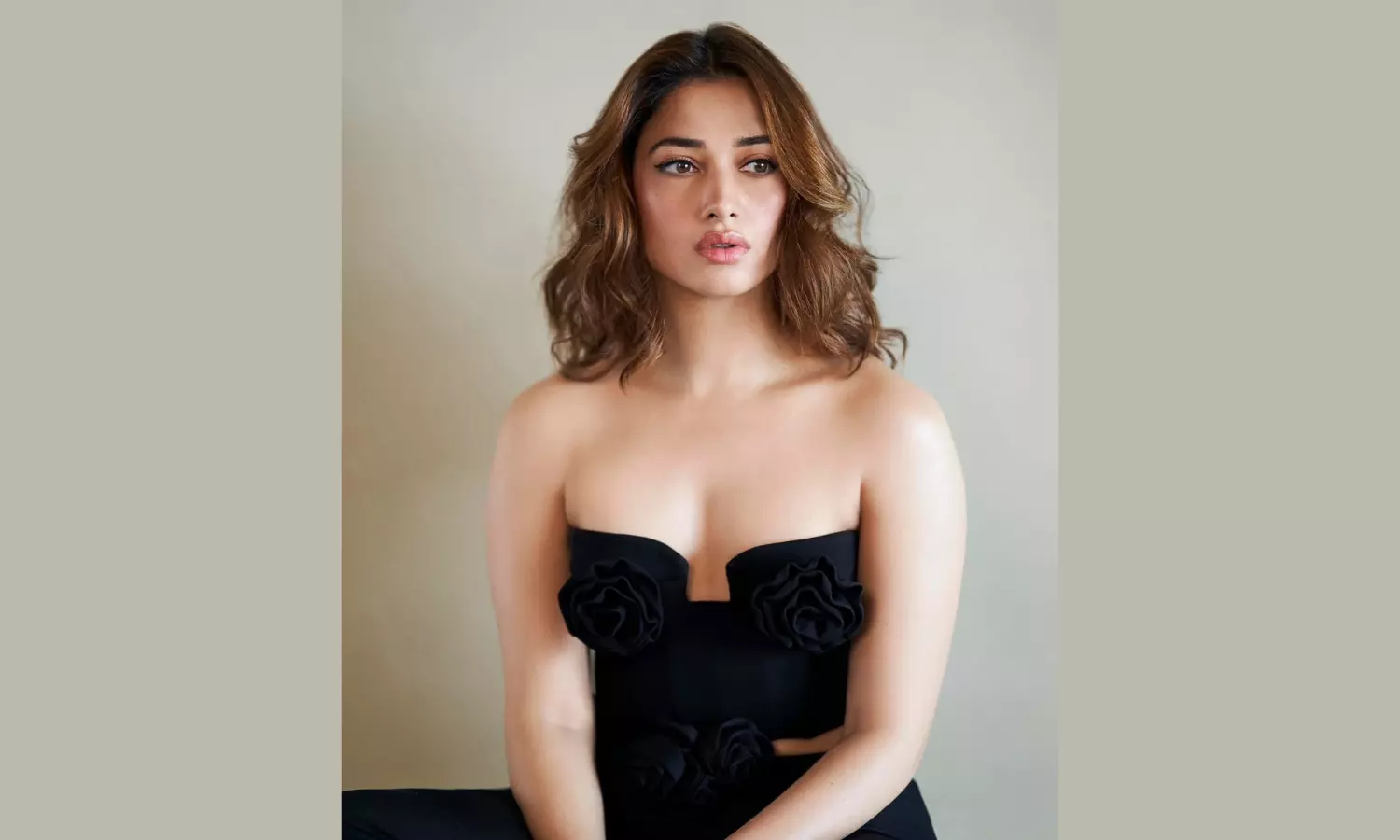 Tamannaah: హిందీ, తమిళ భాషల్లో అరడజను సినిమాలు..
