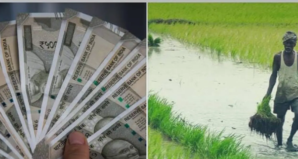 Nalgonda: రైతులకు నిధుల కొరత.. ఆదుకోని టెస్కాబ్.. చేతులెత్తేసిన డీసీసీబీలు!..